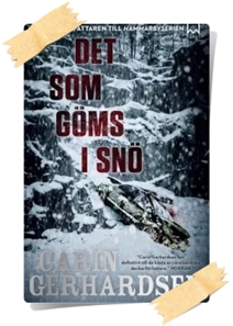 Carin Gerhardsen: Det som göms i snö